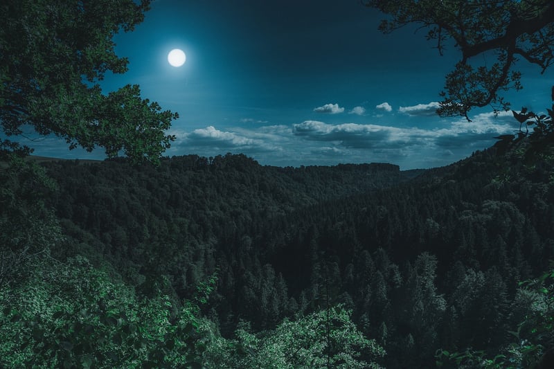 Moon Phase